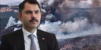 7 ildeki orman yangınında 132 bağımsız birim hasar aldı