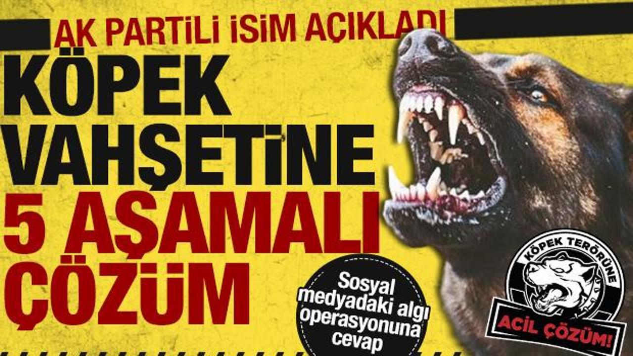 AK Partili Güler, Başkent Kulisi'nde açıkladı! İşte köpek düzenlemesinin ayrıntıları...