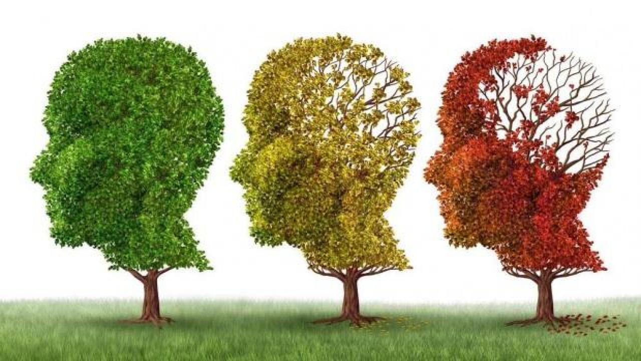 Alzheimer ile ilgili önemli araştırma: Erken teşhis mümkün mü?