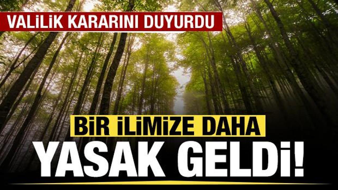 Ankara'da ormanlık alanlara girişler yasaklandı!