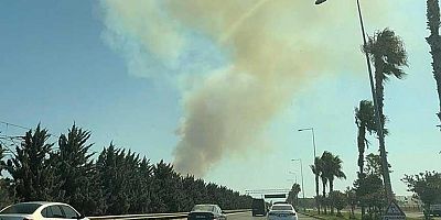 Antalya Alev Alev: 3 İlçede Orman Yangını Alarmı