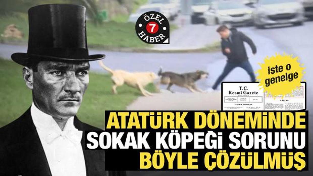 Atatürk'ün 1932 yılında yayınladığı 'sokak köpeği' genelgesi... Sorun böyle çözülmüş