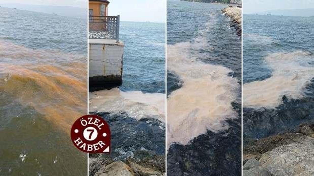 Bursa’da ilginç görüntü! Denizin rengi alg patlaması nedeniyle kahverengiye büründü