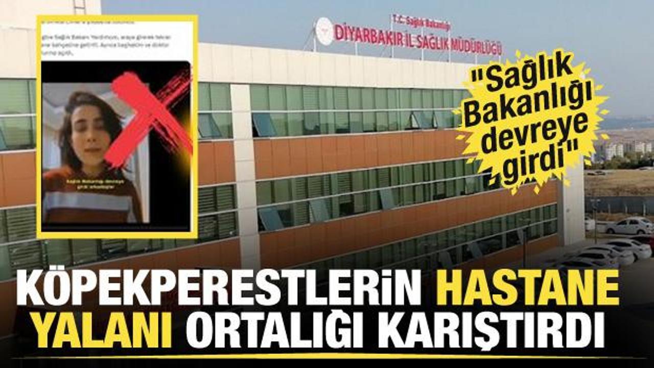 Diyarbakır'da hastane binasında başıboş köpekler için barınak iddiasına yalanlama