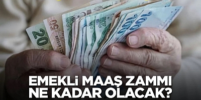 Emekli Zammı Netleşiyor: İşte 2026 İçin Olası Artış Oranları