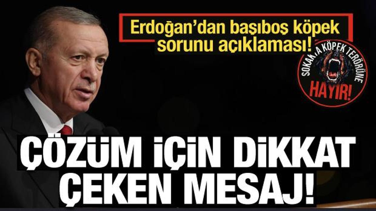 Erdoğan: Başıboş köpek sorununu çözeceğiz!