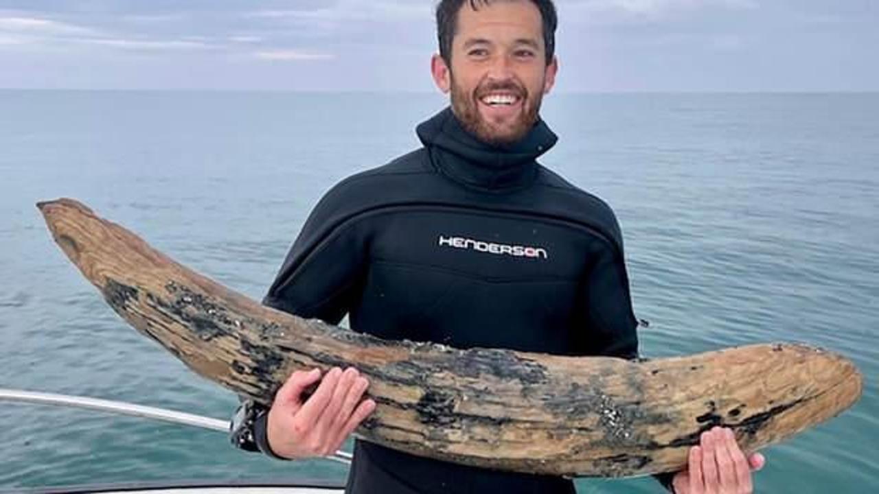 Fosil avcısı okyanusun derinliklerinde devasa diş buldu