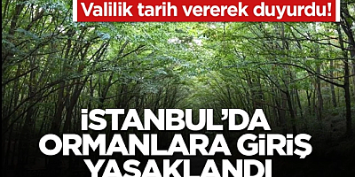 İstanbul'da Ormanlara Giriş Yasaklandı