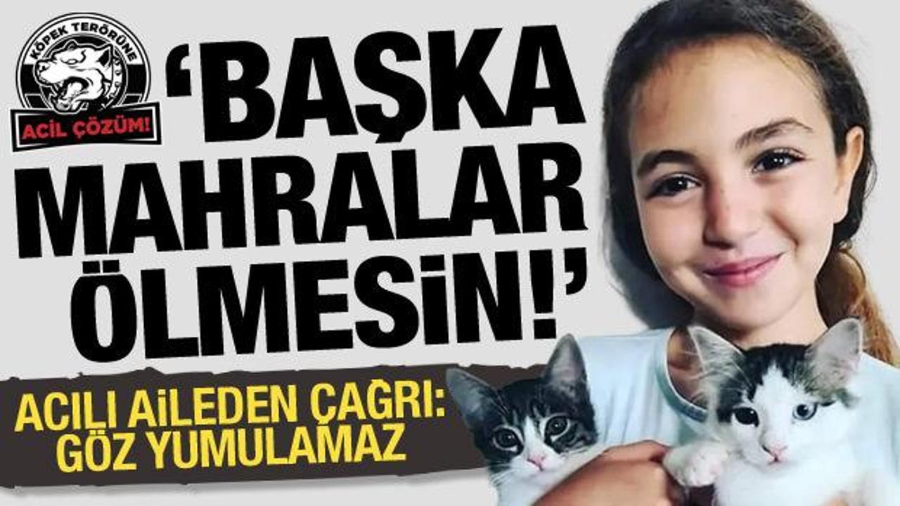 Mahra Pınar'ın ailesinden başıboş köpek düzenlemesine destek: Başka Mahralar ölmesin
