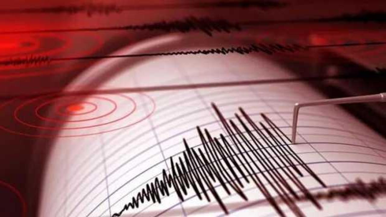 Meksika'da büyük deprem