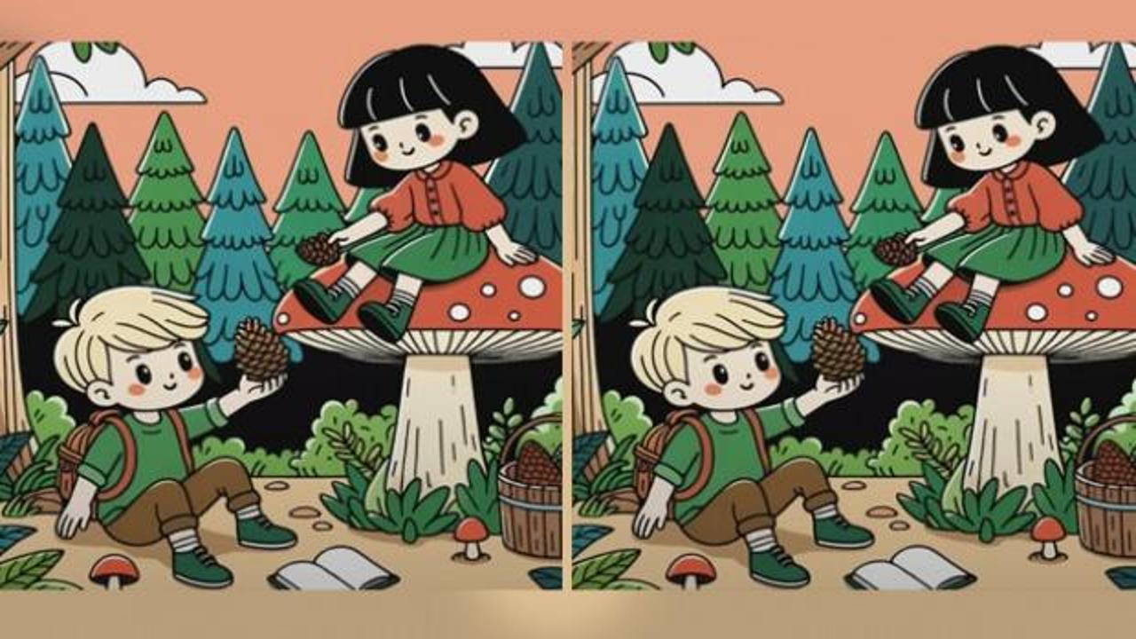 Ormanda kozalak toplayan çocuklara ait iki resim arasındaki 3 farkı 15 saniyede bulabilir misin?