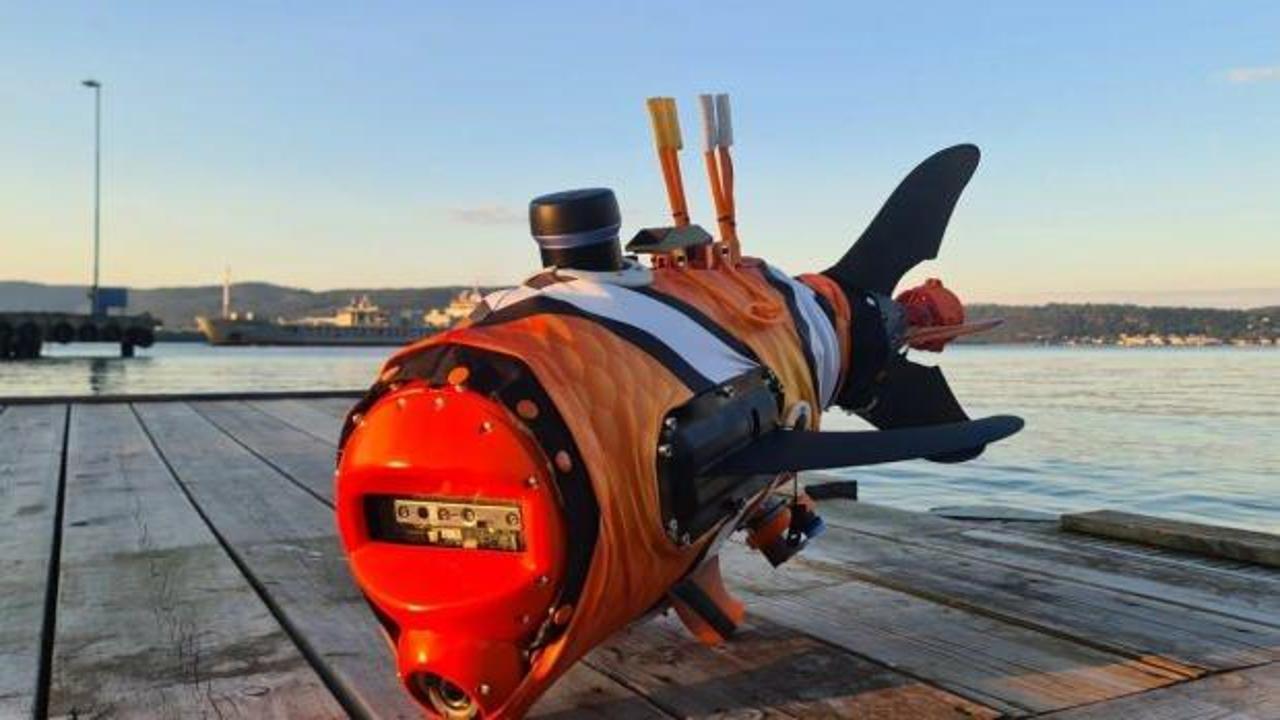 Orta Doğu'daki su yollarına süper büyük boy palyaço balığı robotları geliyor