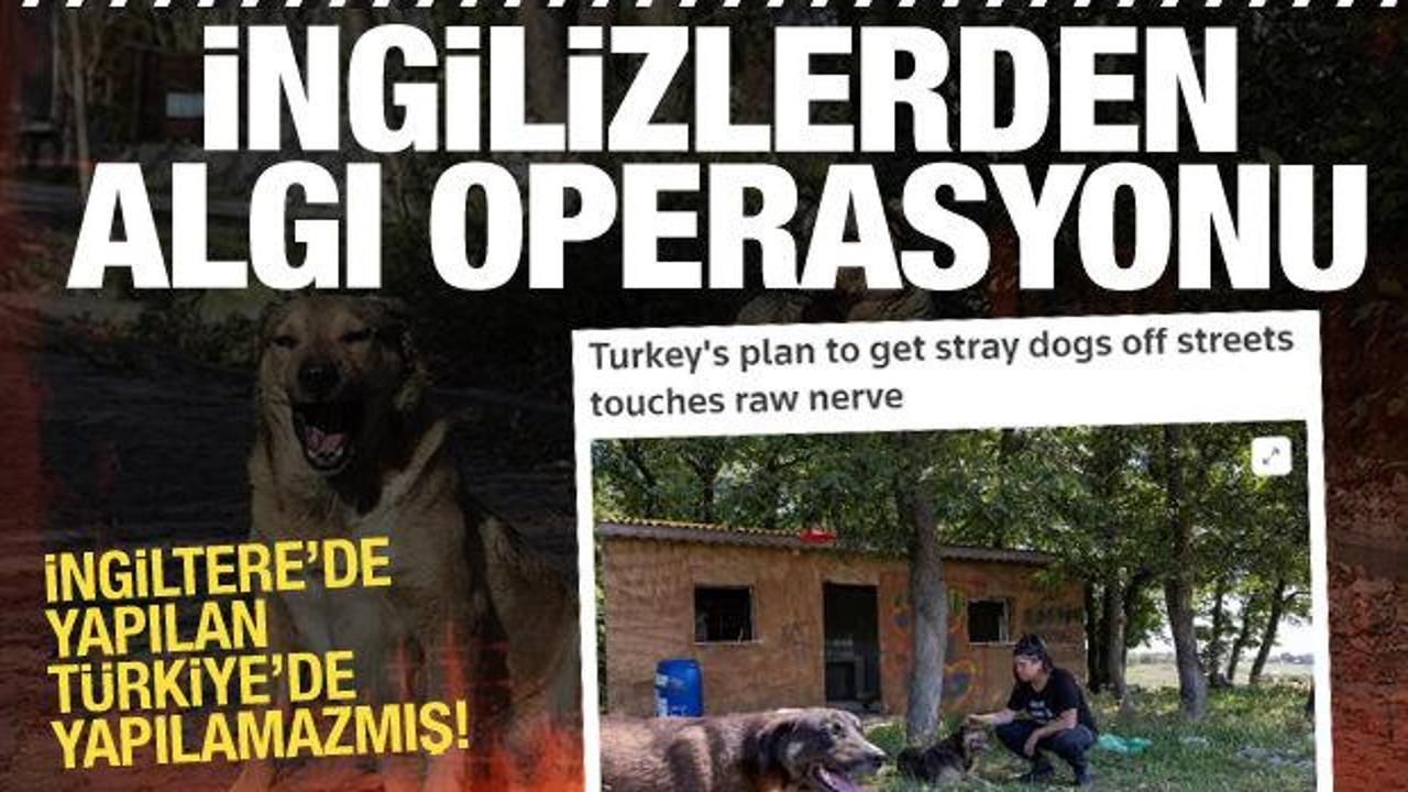 Reuters'tan Türkiye'deki çalışma için karalama kampanyası