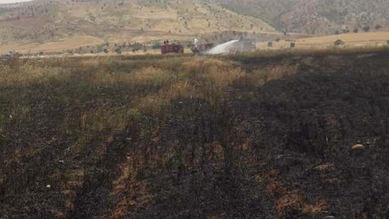 Şırnak'ta 200 dönüm ekili buğday yandı