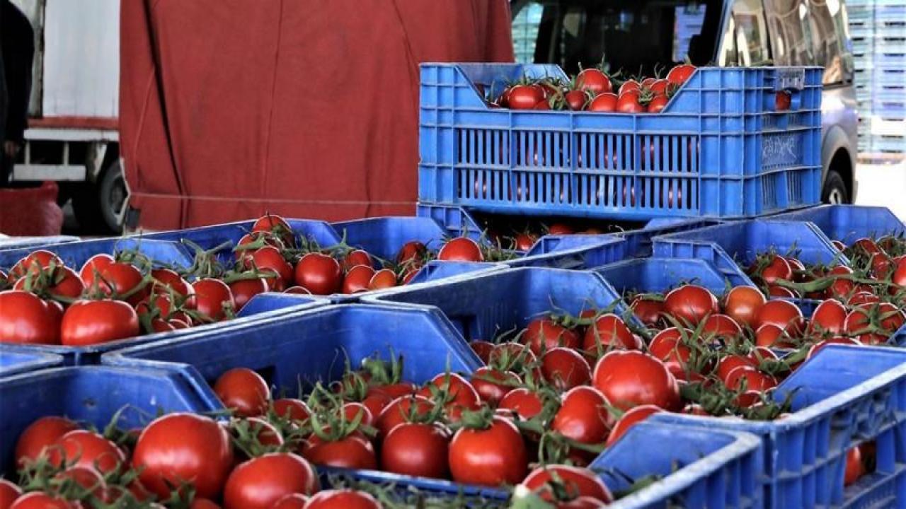 Ticaret Bakanlığı'ndan domateslerin çöpe dökülmesine ceza