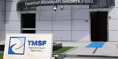 TMSF’den Dev İhaleler: Akfel Gaz ve İstikbal Mobilya Satışa Çıkıyor