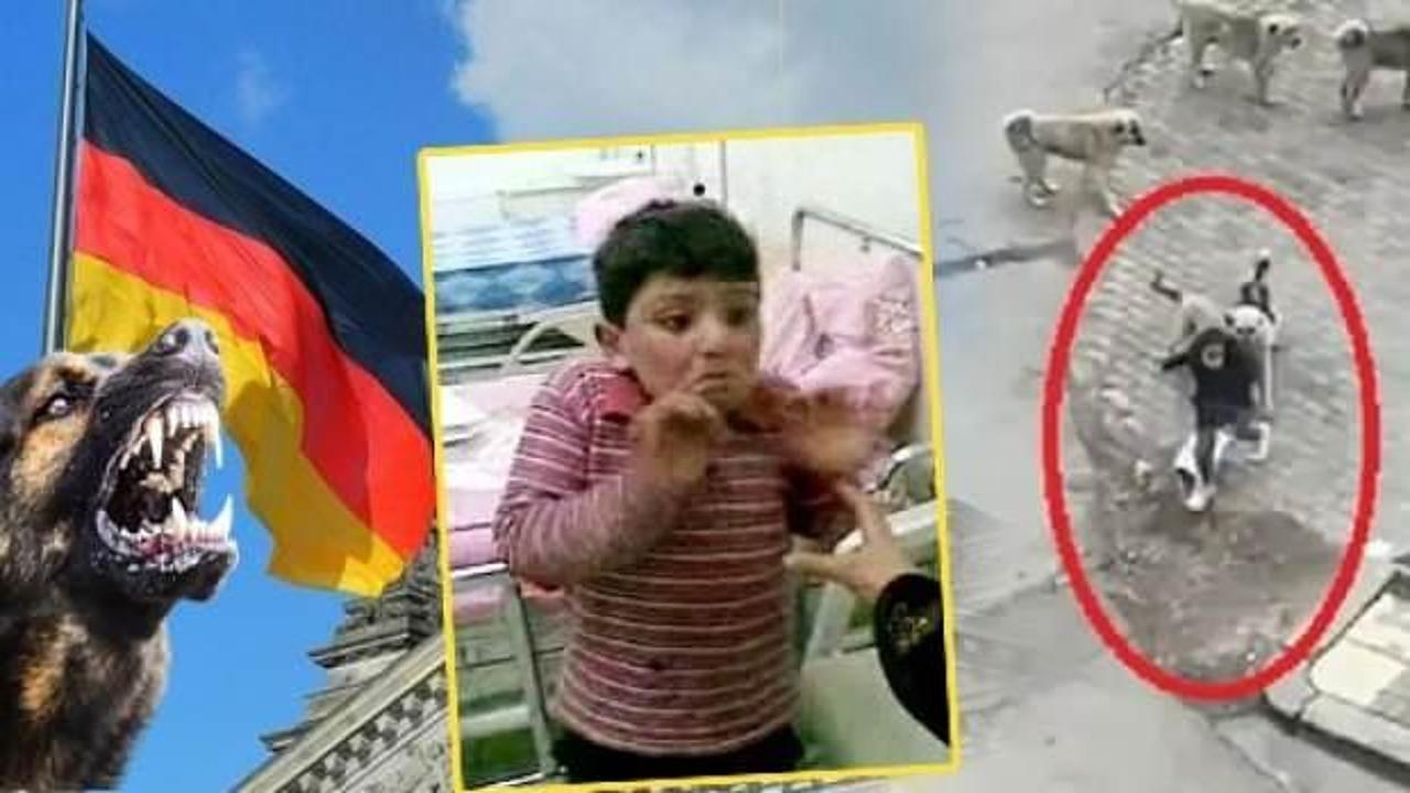 Türkiye için 'kuduz' uyarısı yapan Almanya’dan 'köpek' ikiyüzlülüğü! Bakın ne yaptılar