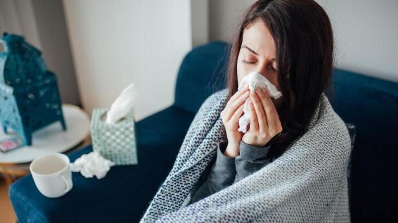 Uzmanlar sıradaki pandemiye grip virüsünün yol açmasını bekliyor